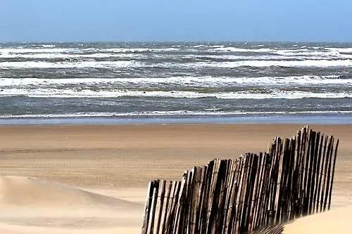 Amsterdam Beach Apartment Zandvoort 0*,